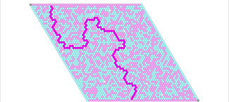 blue-pink-50x50-rand-rand.JPG